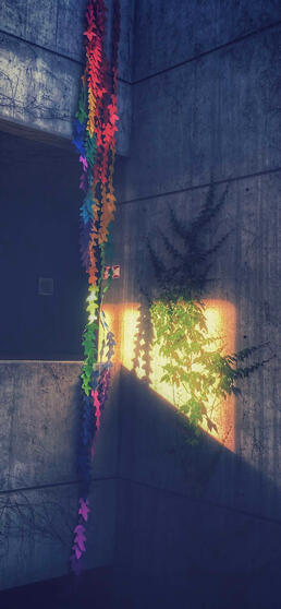 Pride Vines