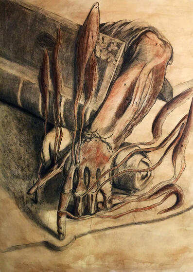 Anatomical Study