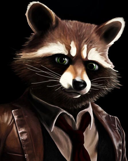 Raccoon Detective