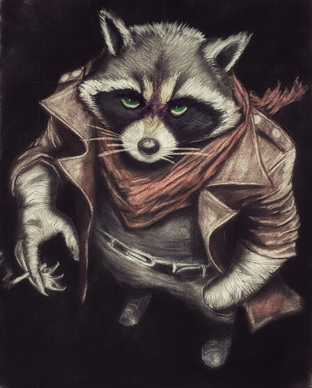 Rakun