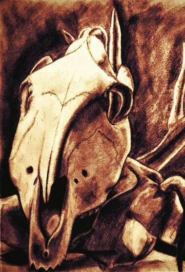 Horse Skull Still Life
